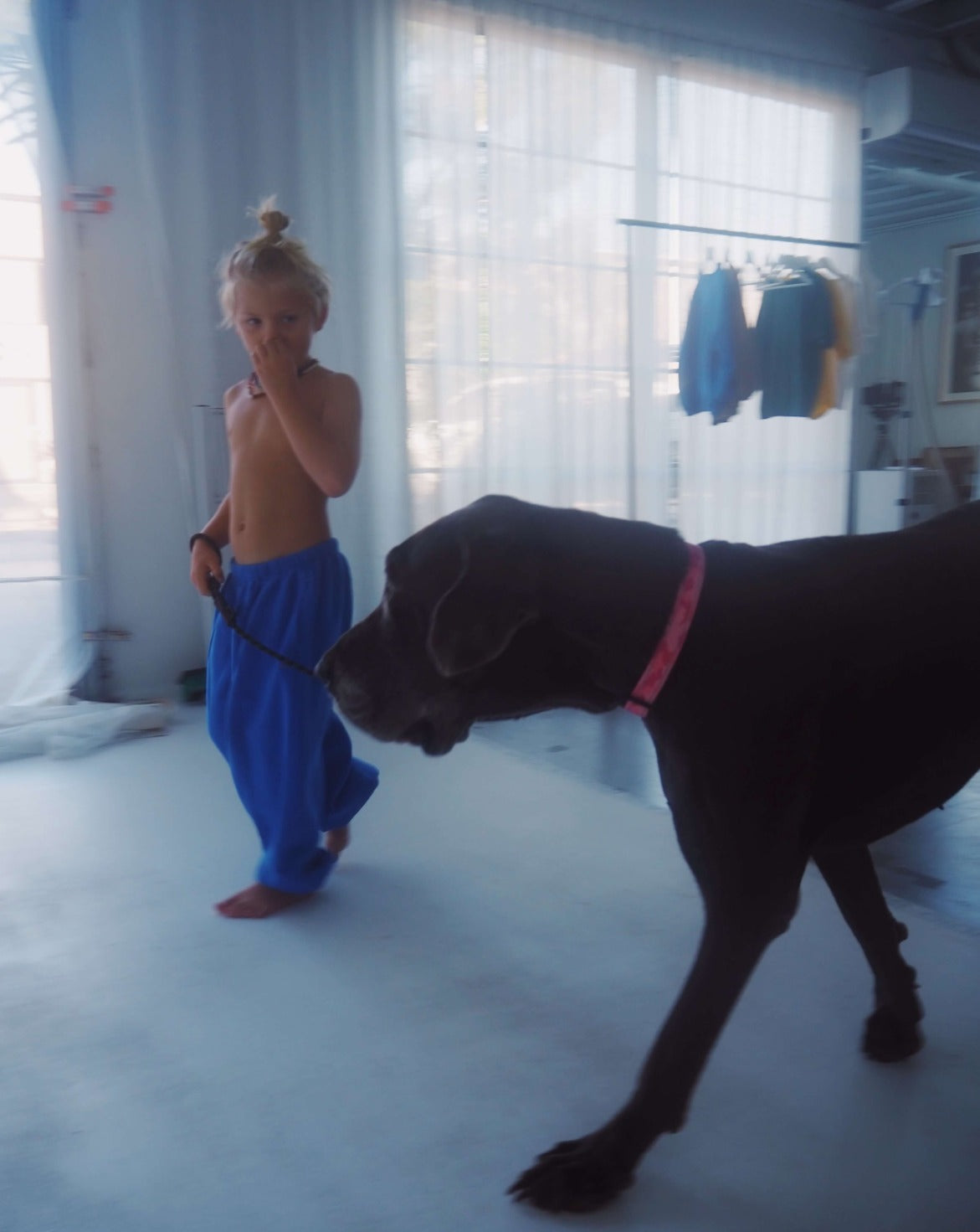 rocky trackpant | cobalt blue