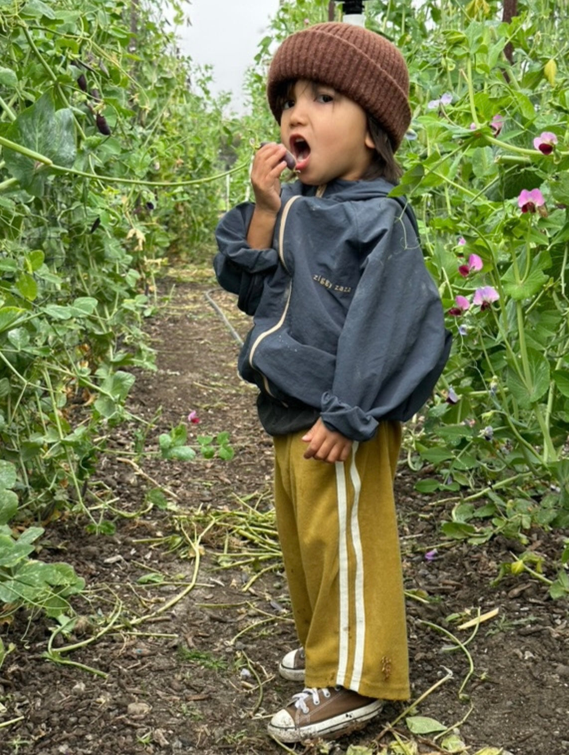 kaze windbreaker | dusk