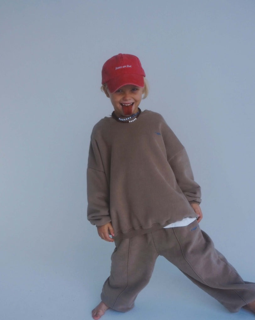 rocky pullover | bear