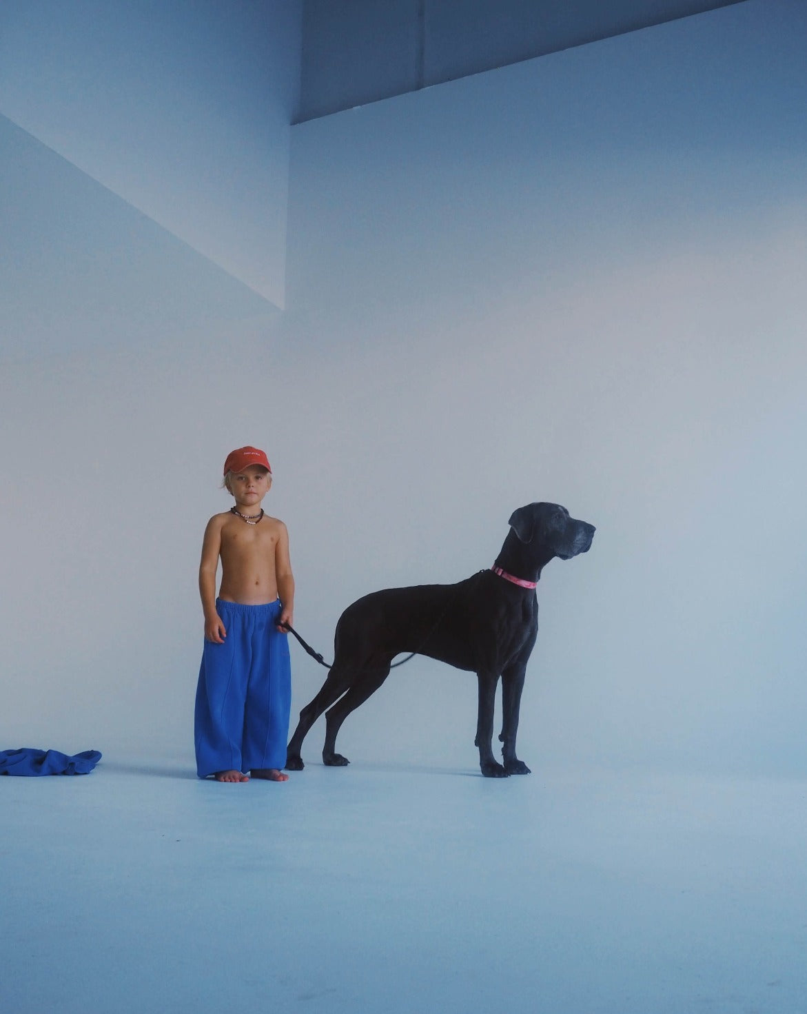rocky trackpant | cobalt blue