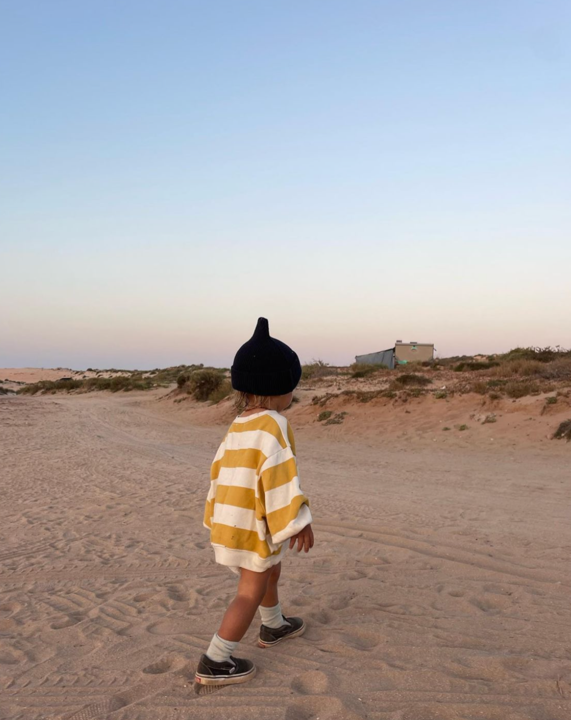 toro pullover | golden