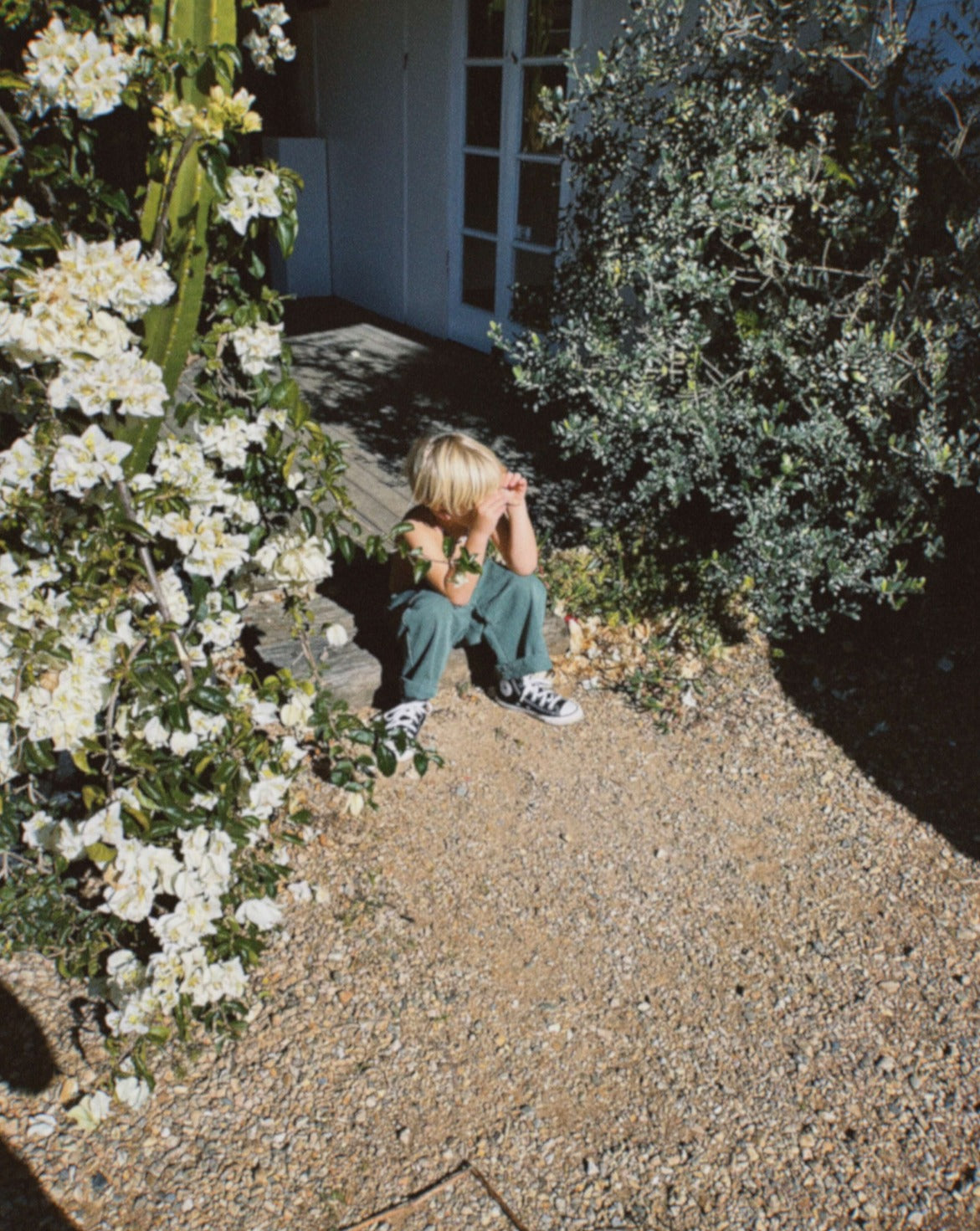 wren pant | forest green