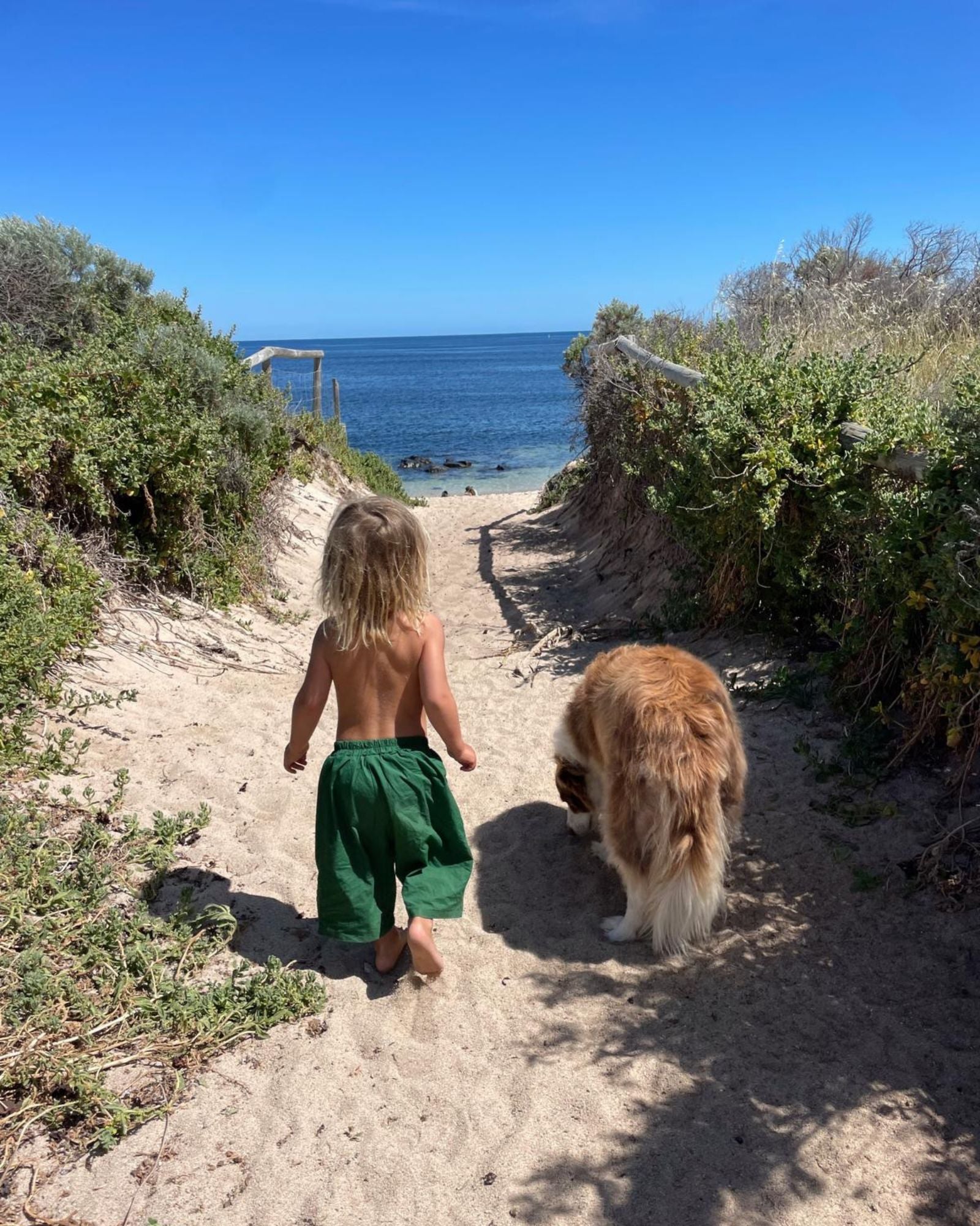 neko short | forest green