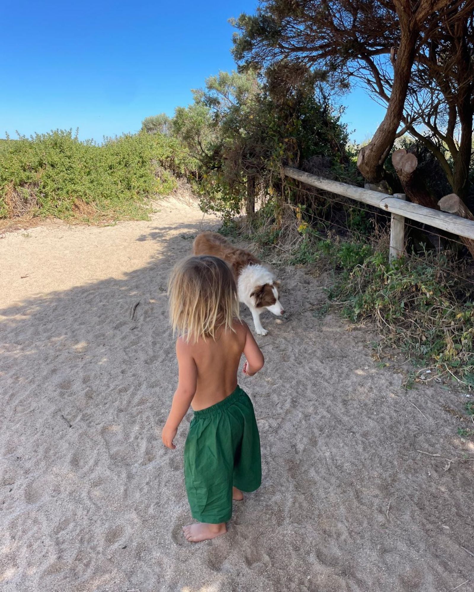 neko short | forest green