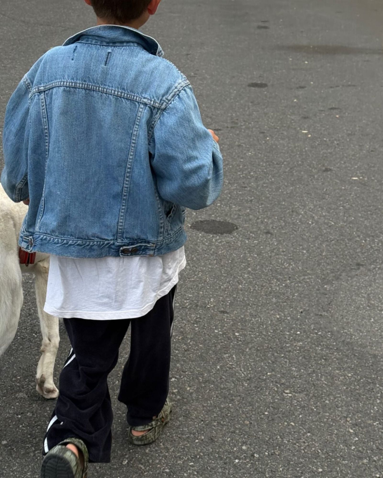 twin stripe terry pant | panda