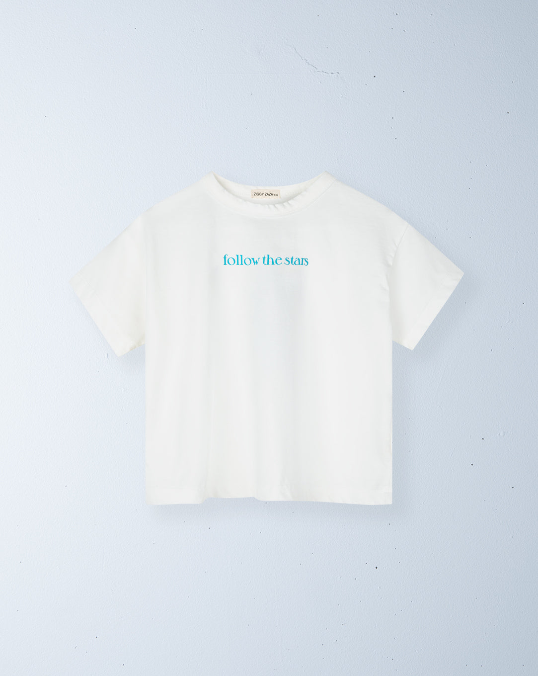 zodiac tee | pisces