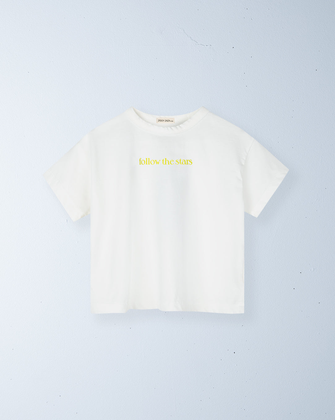 zodiac tee | capricorn