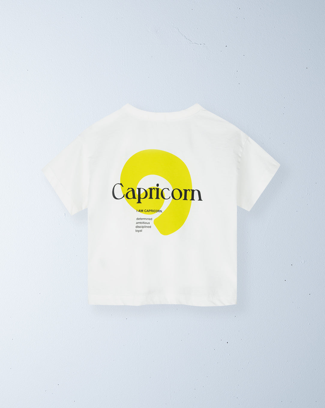 zodiac tee | capricorn