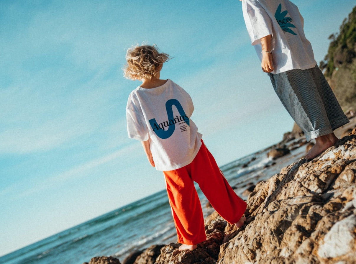 zodiac tee | aquarius