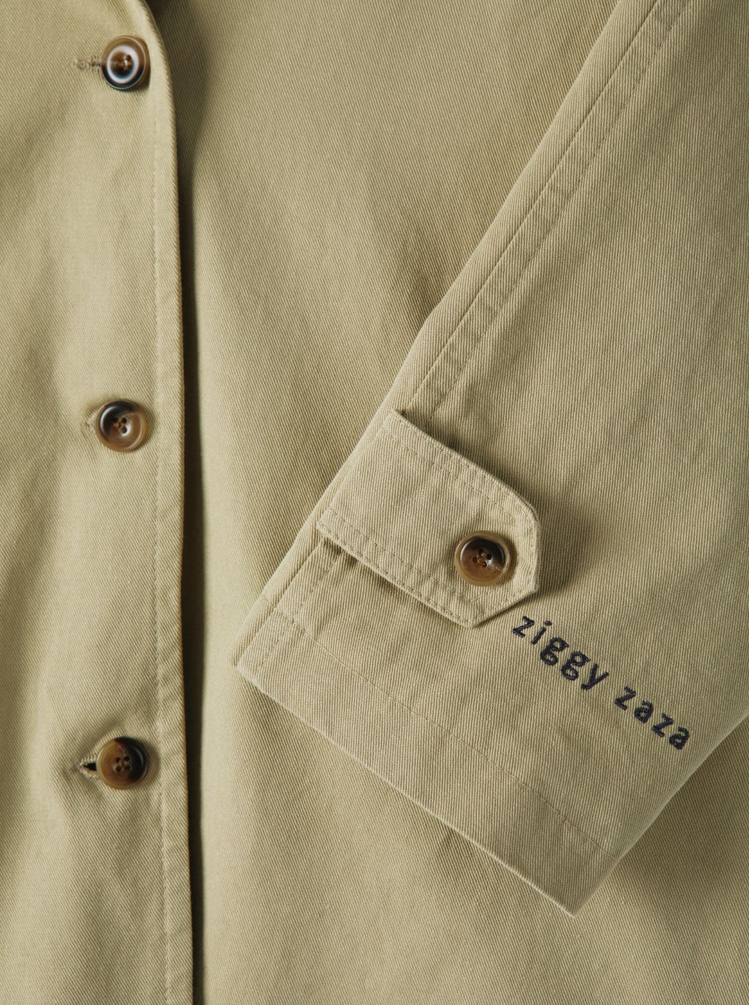 turtle trench coat | dune