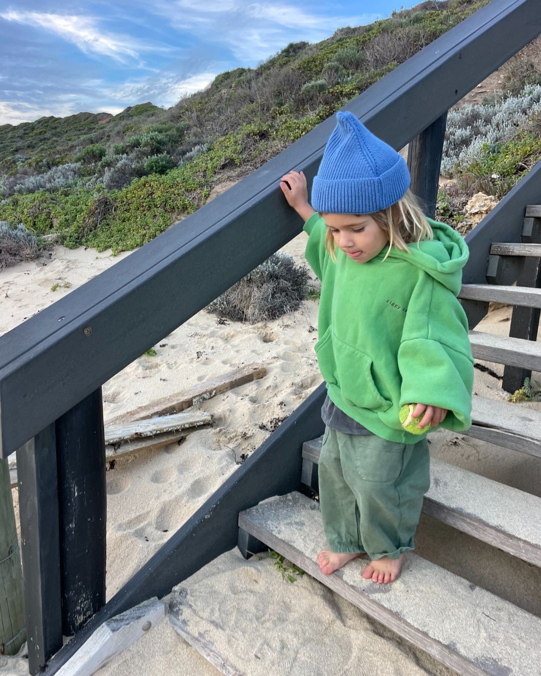rocky hoodie | grasshopper