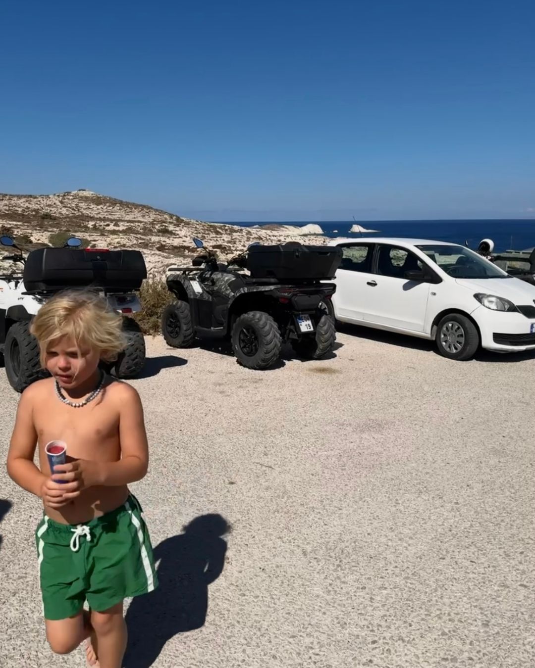 twin stripe swim short | verde