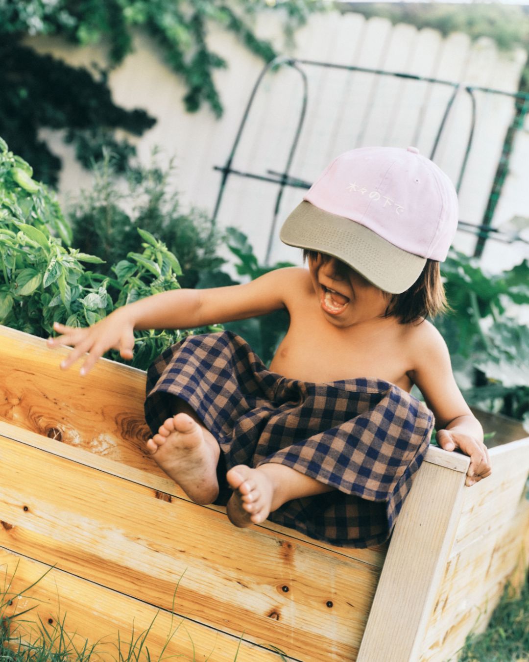 neko gingham short | khaki