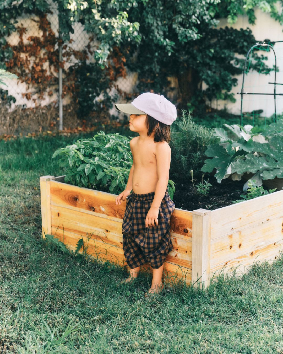 neko gingham short | khaki