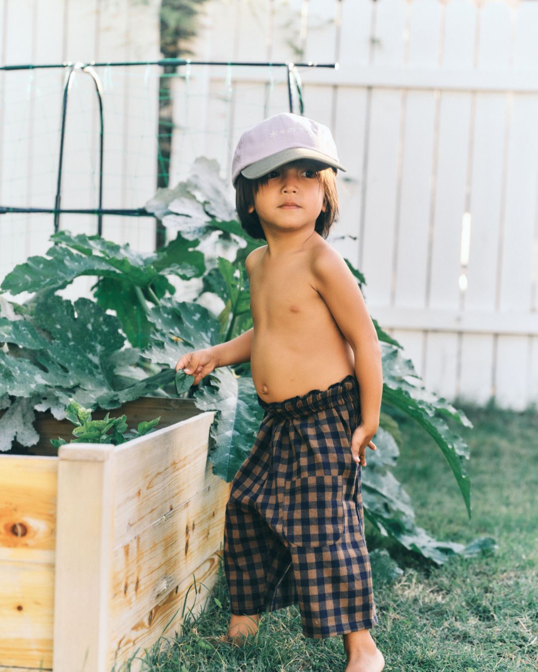 under the trees cap | lilac