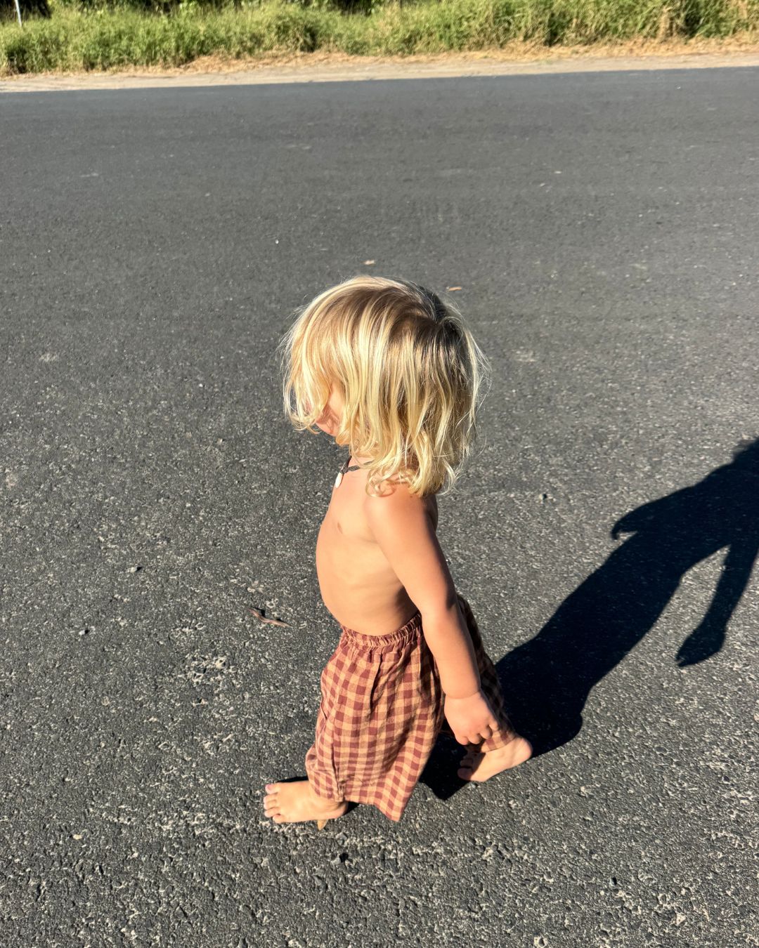 neko gingham short | spice