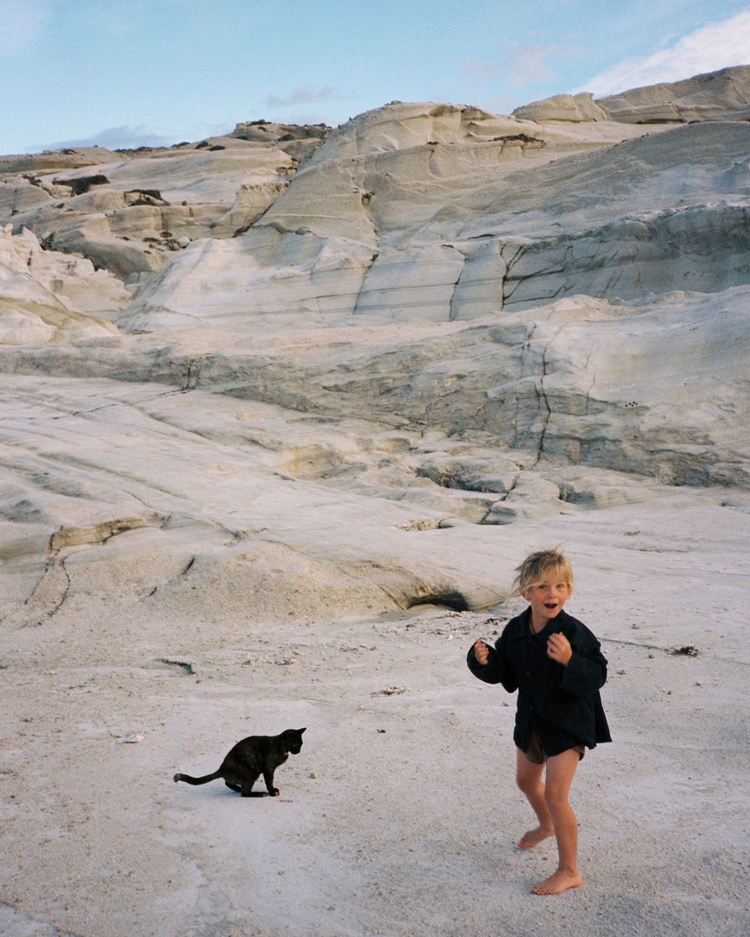 raphael painters coat | navy