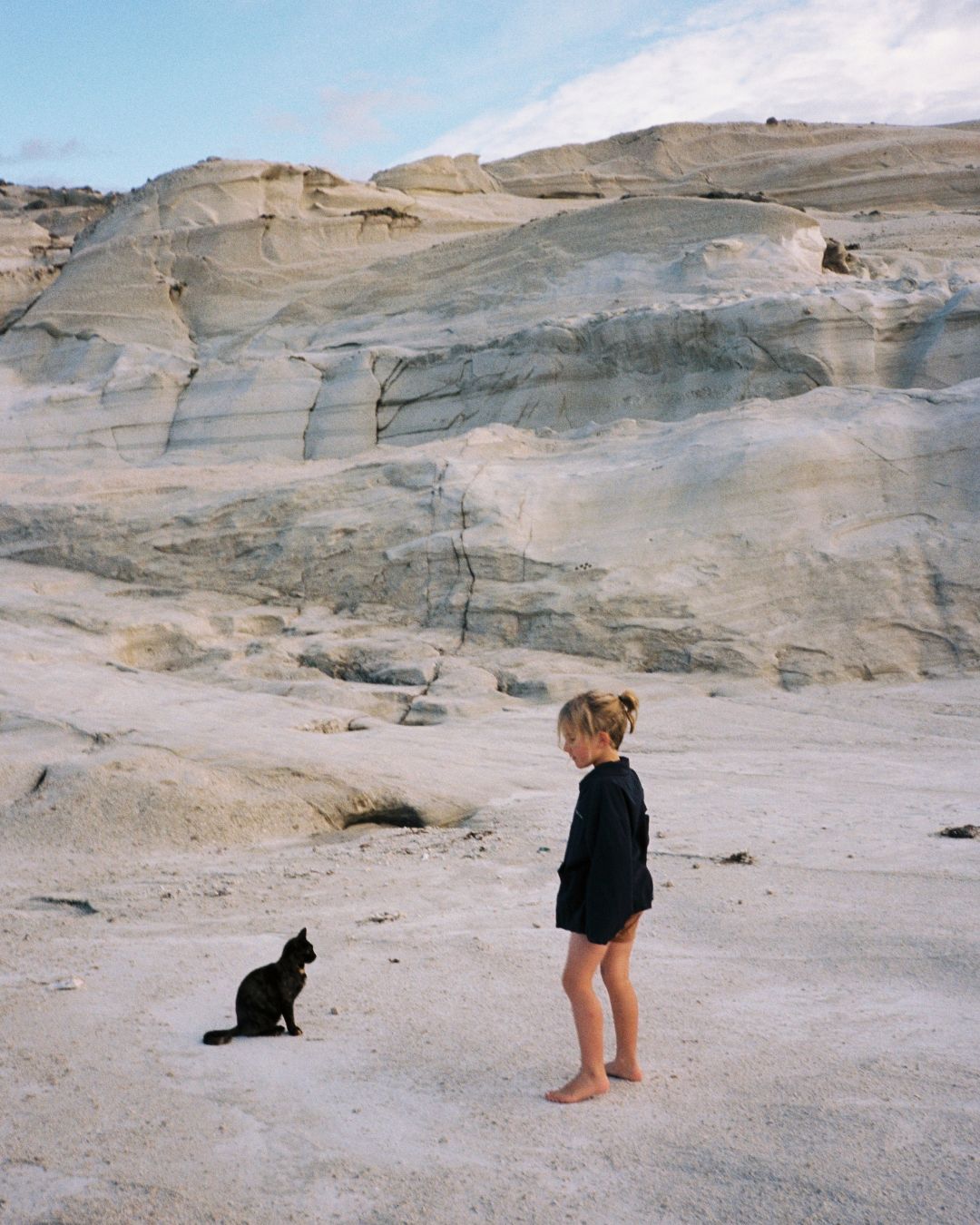 raphael painters coat | navy