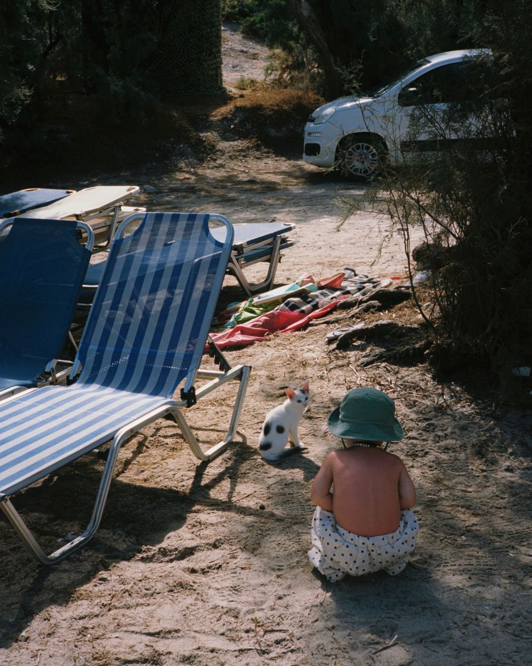 lala bucket hat | sage
