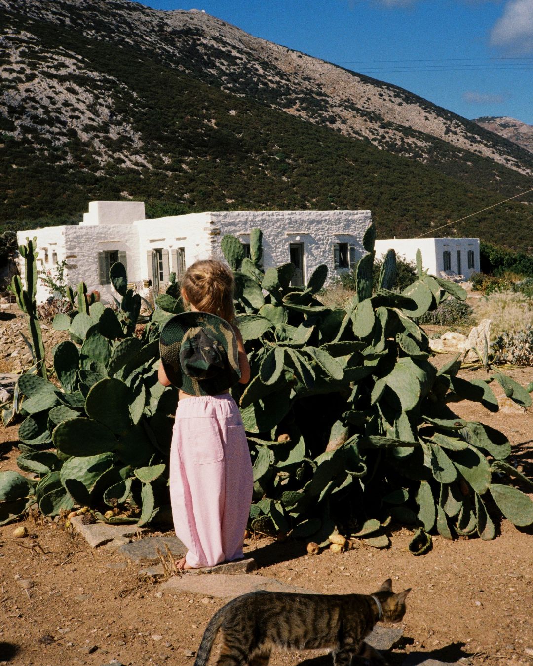 suki denim jean | peony pink