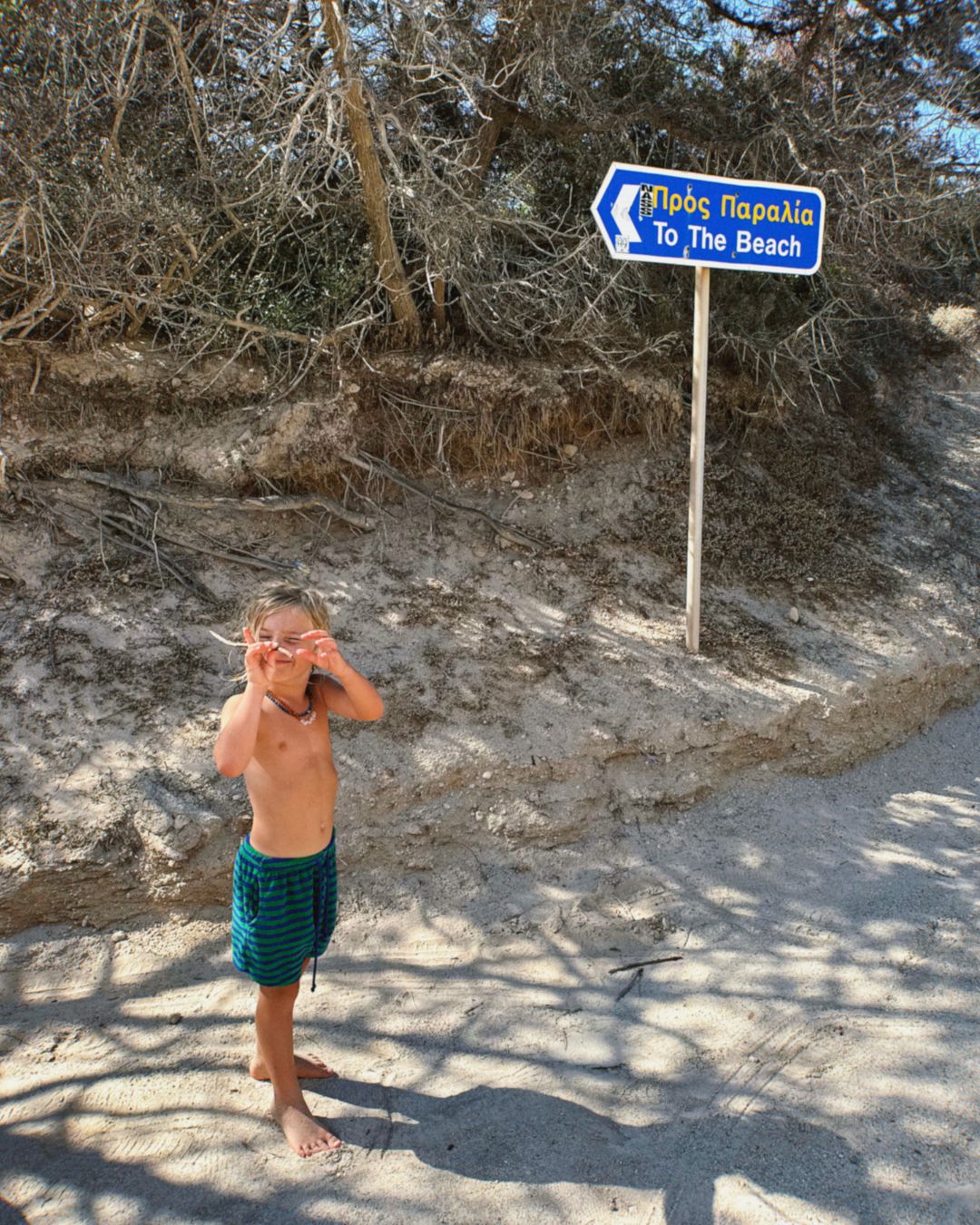 roux terry short | peacock