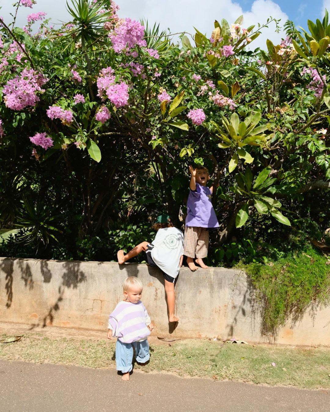 toro pullover | lilac