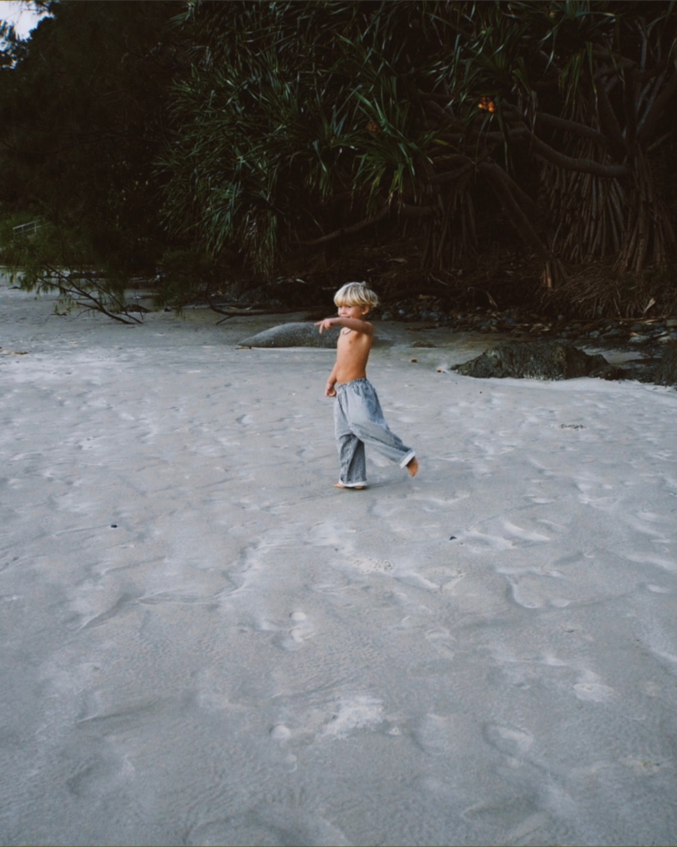 casper pant | navy stripe