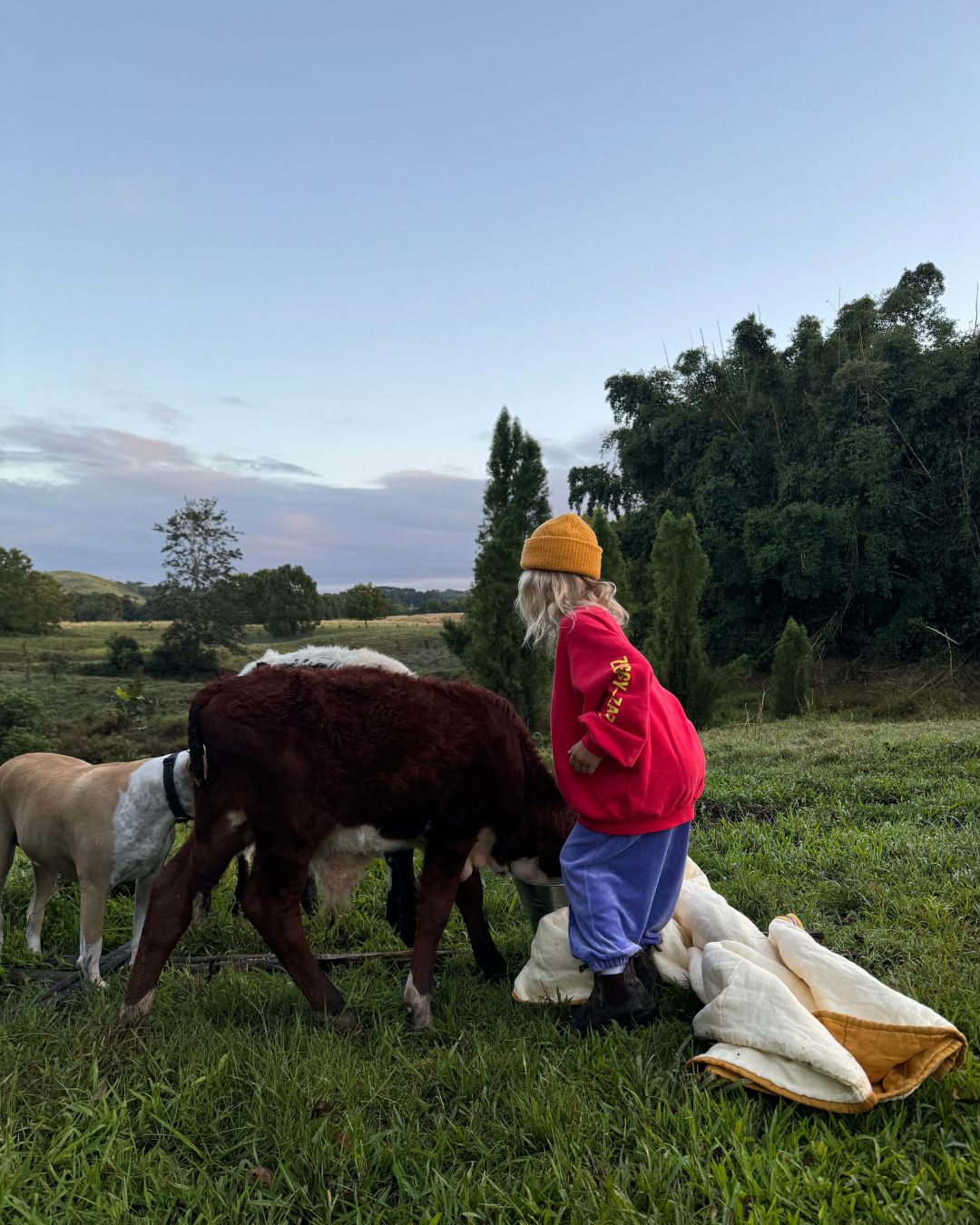artist pullover | racer red + yellow print 2-3 years