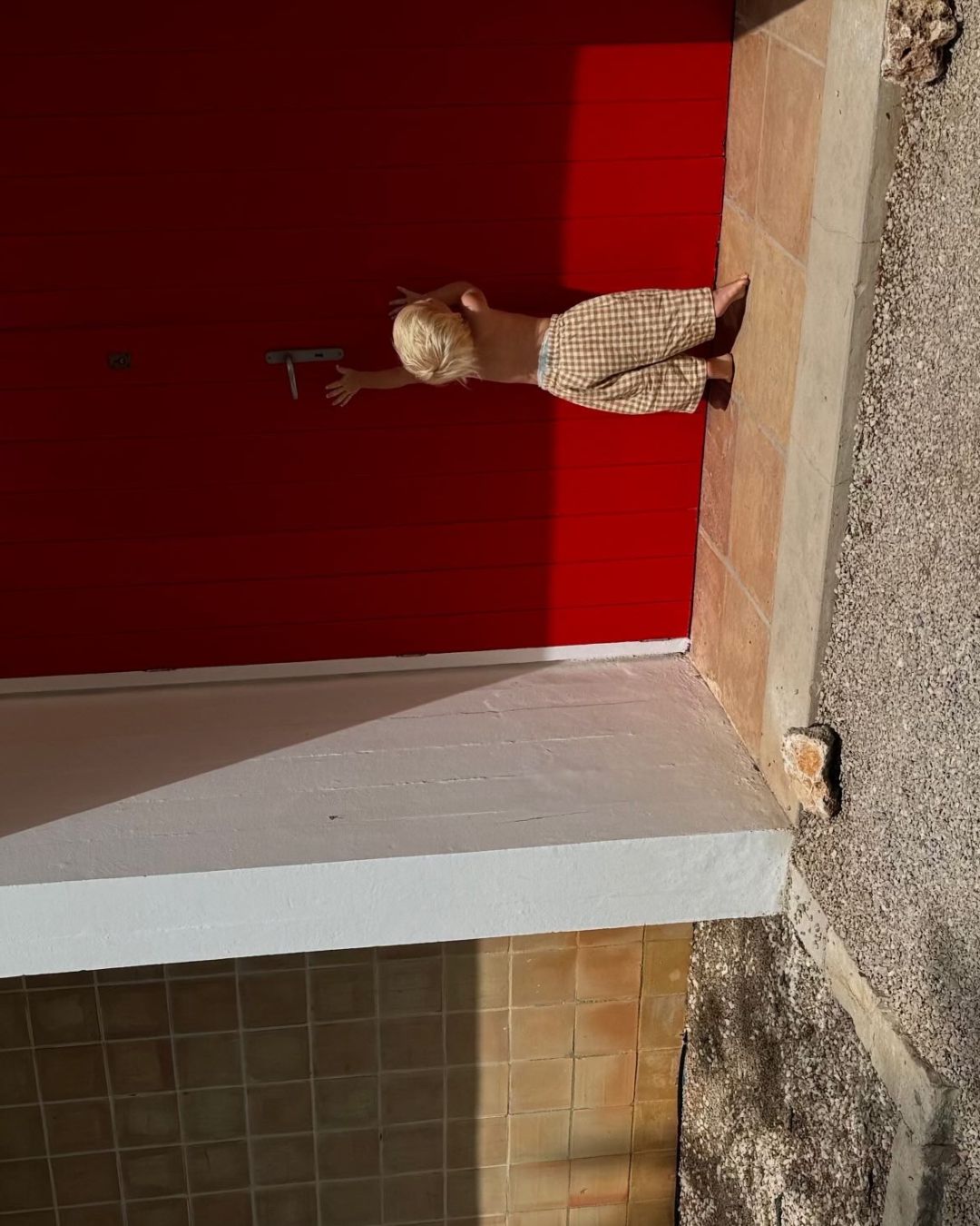 neko gingham short | ginger