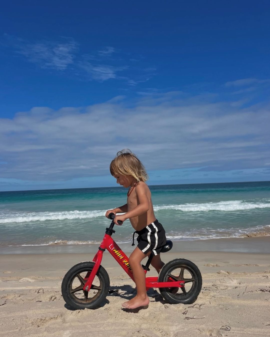 twin stripe swim short | penguin