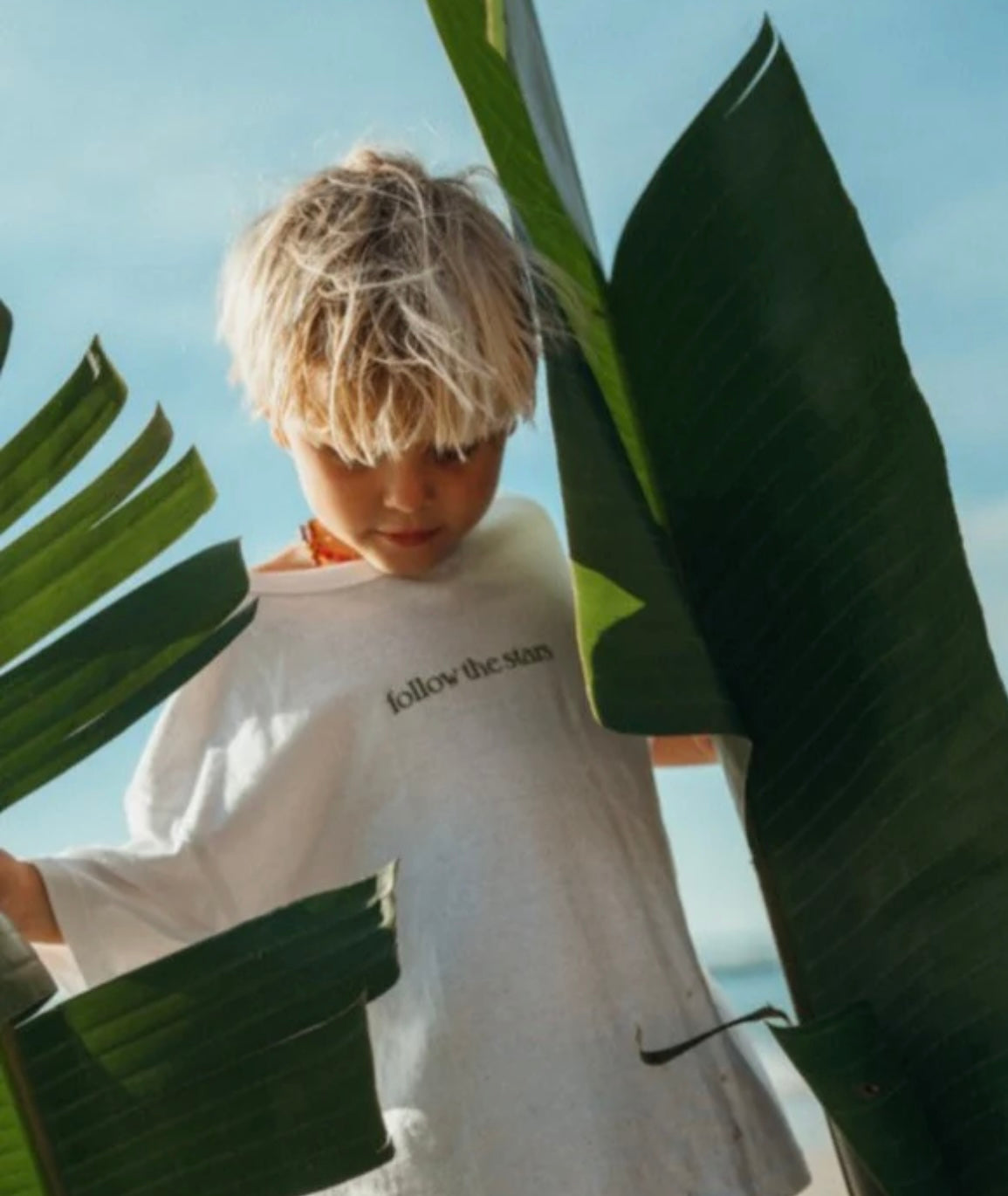 Collections – ZIGGY ZAZA