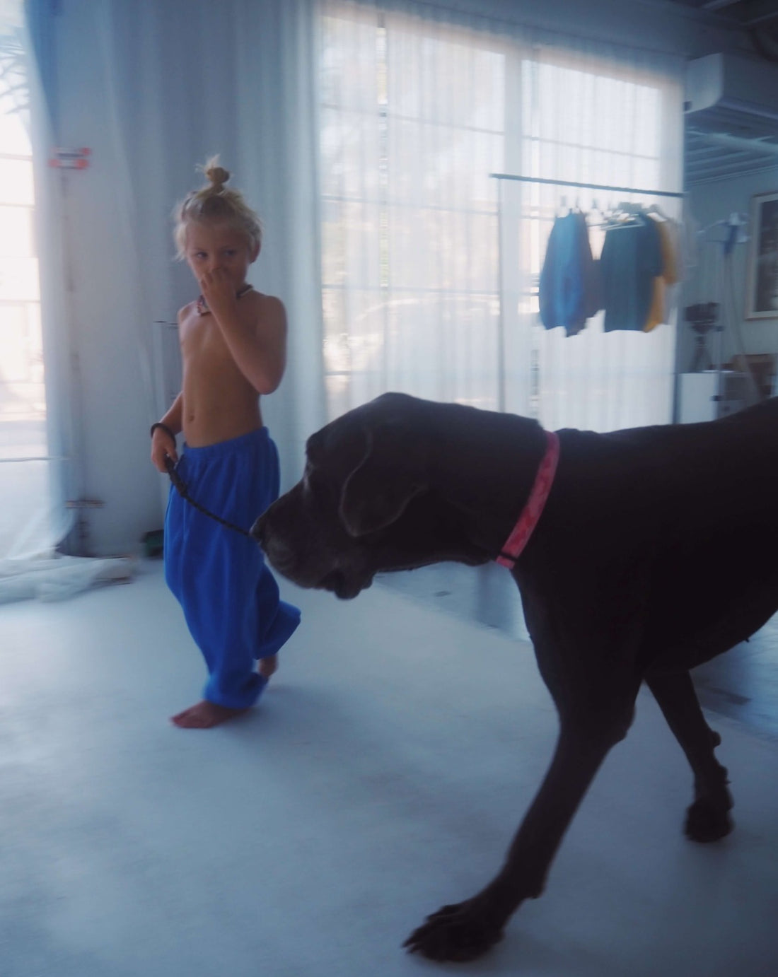 rocky trackpant | cobalt blue