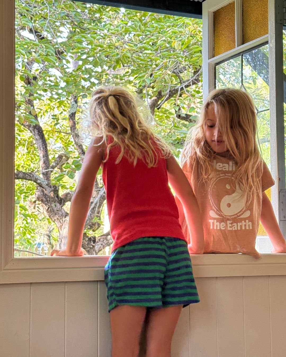 roux terry short | peacock