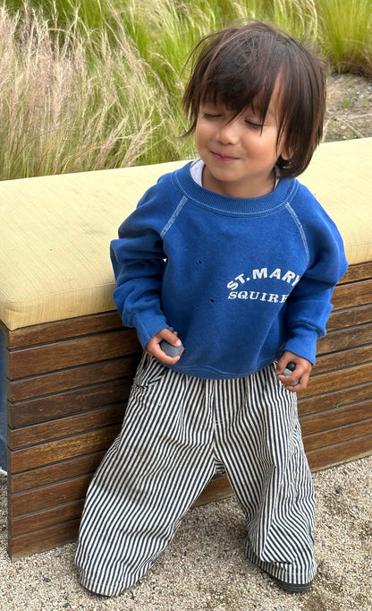 casper pant | navy stripe