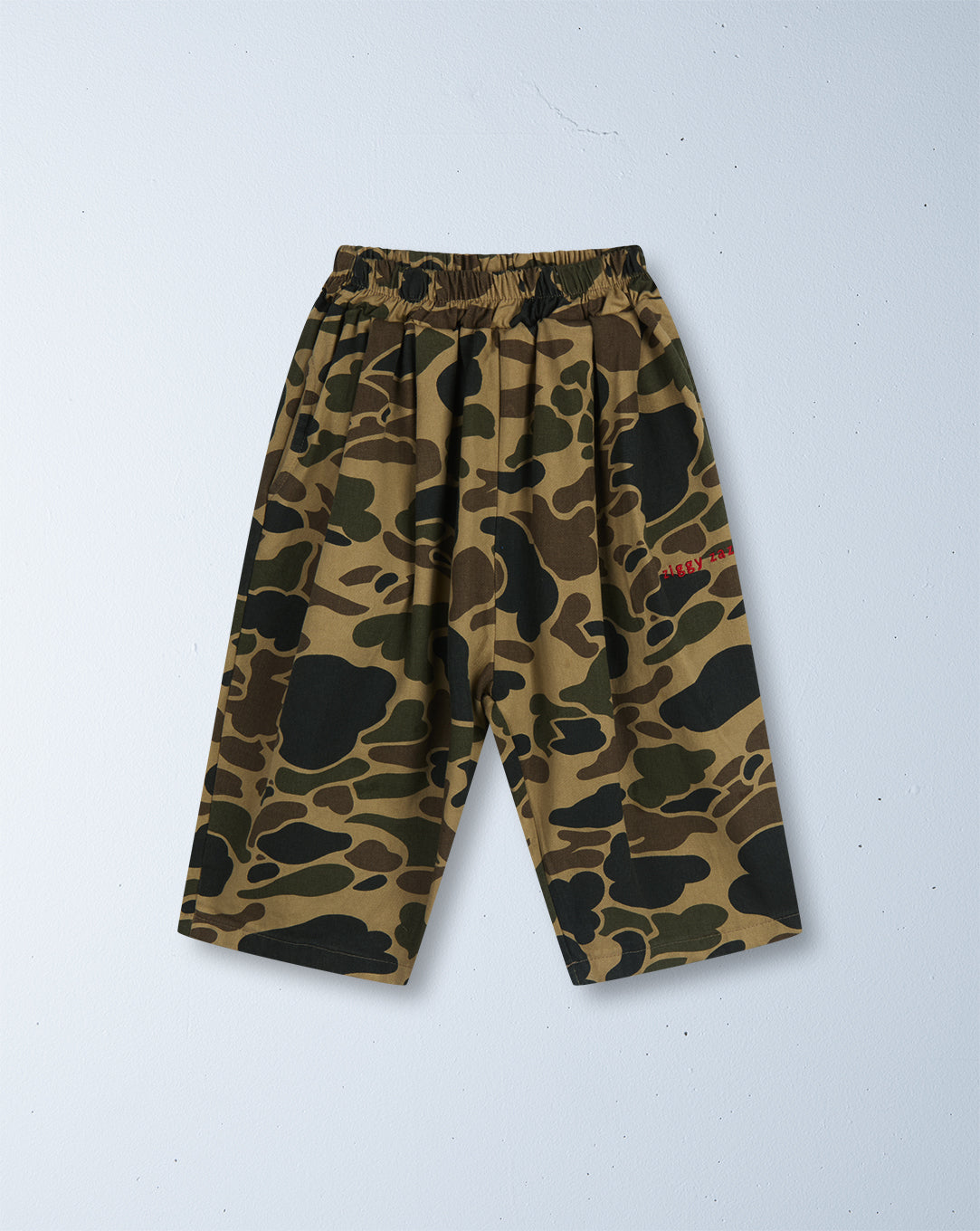 chameleon pant | camo