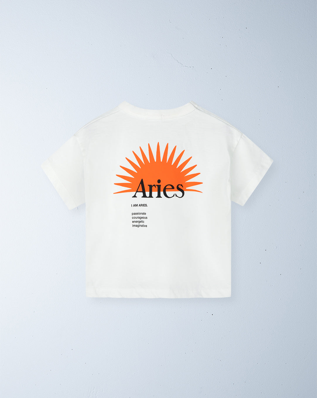 zodiac tee | aries