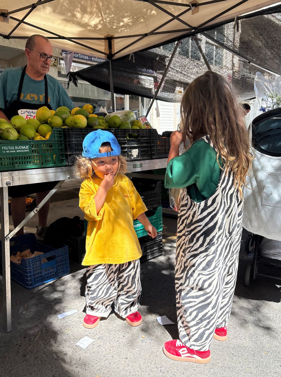 chameleon pant | zebra – ZIGGY ZAZA