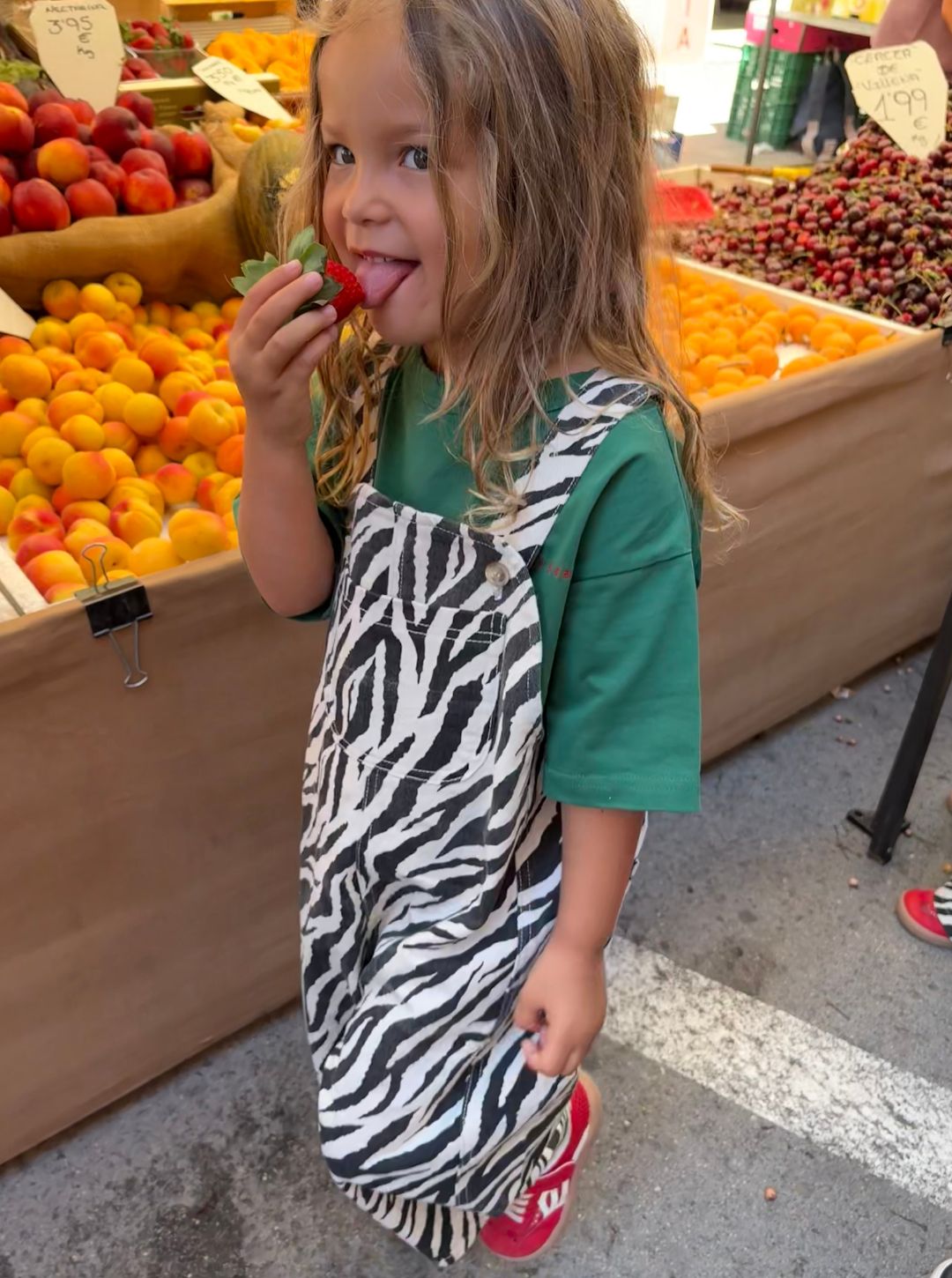cassius overalls | zebra