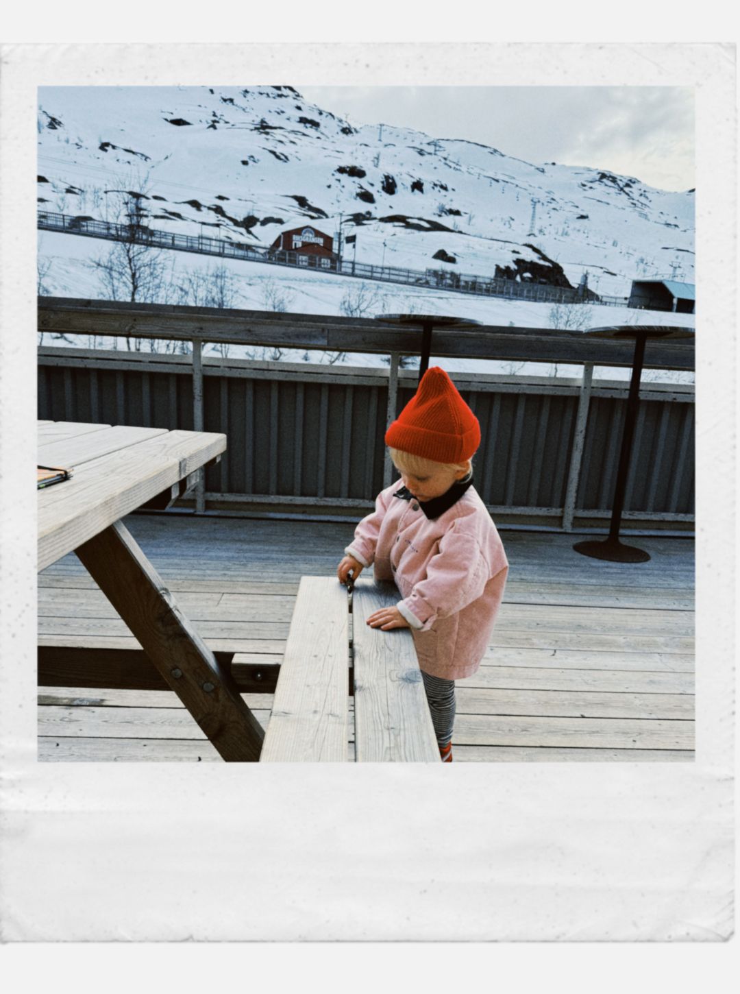 de kat padded coat | peony pink
