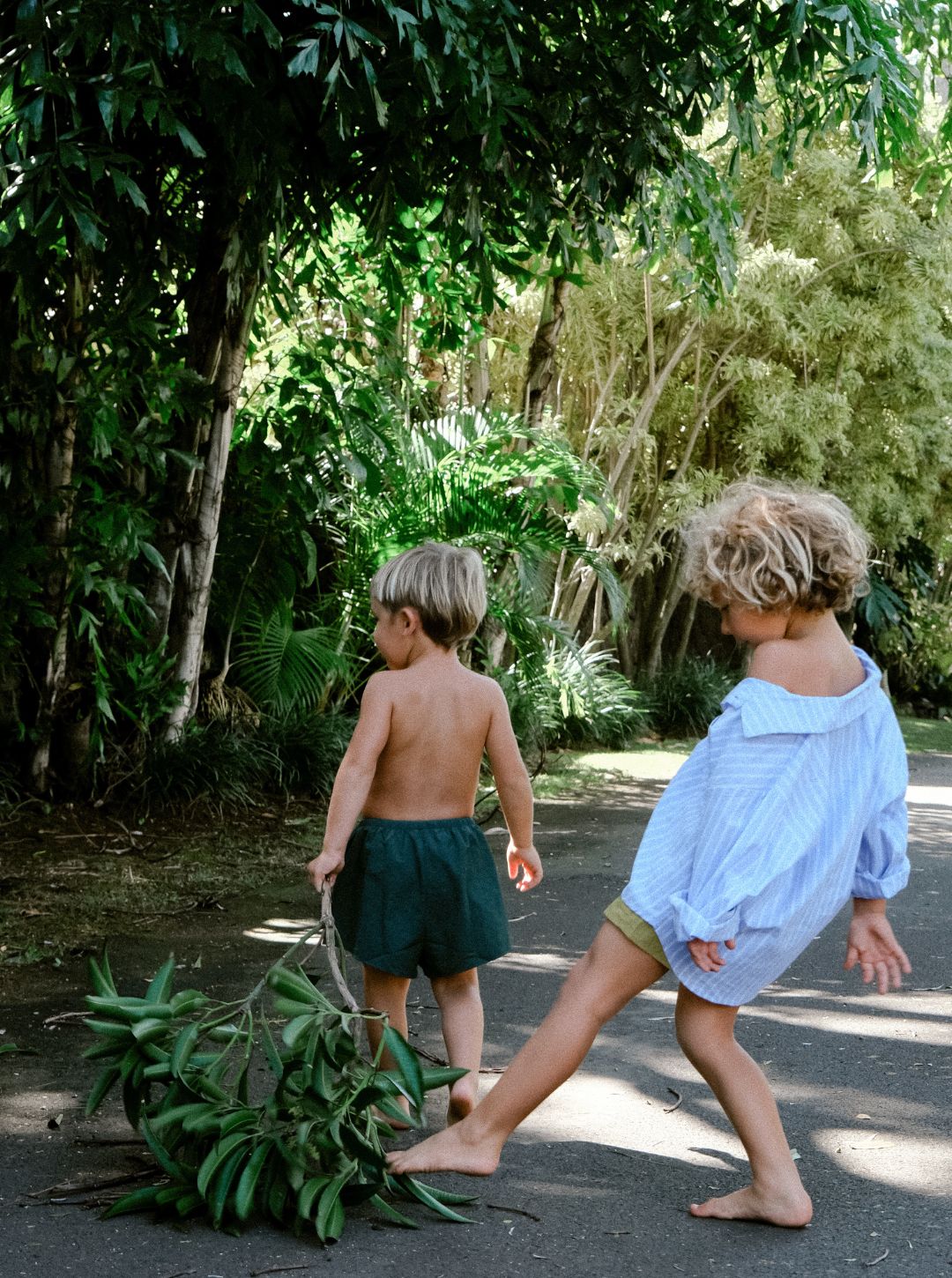 monkey swim shorts | forest green