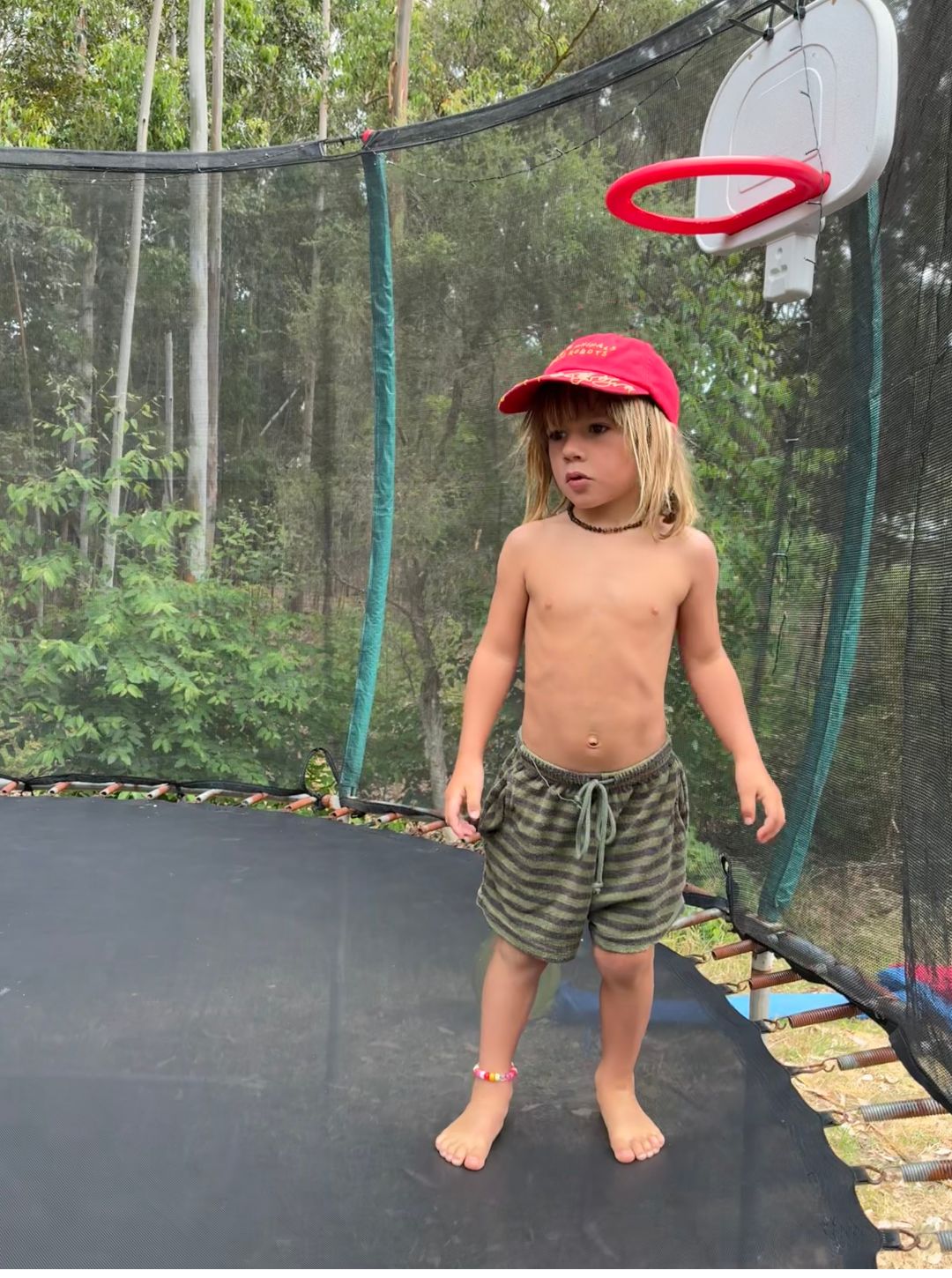 roux terry short | lizard