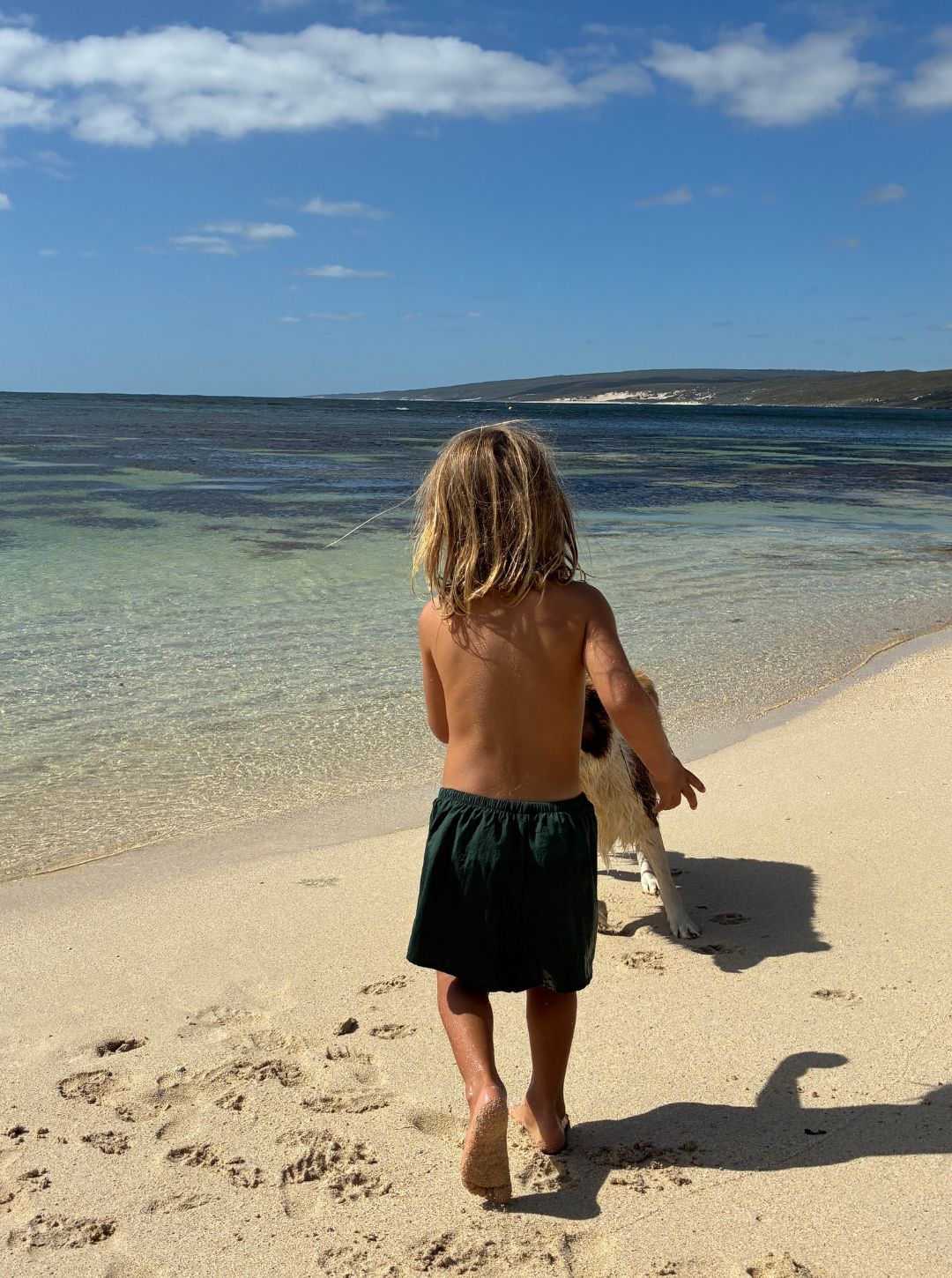 monkey swim shorts | forest green