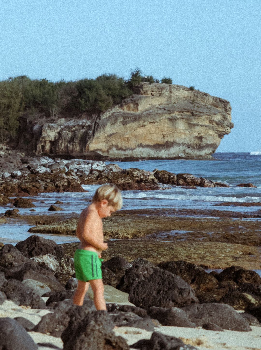 kiki swim trunks | frog