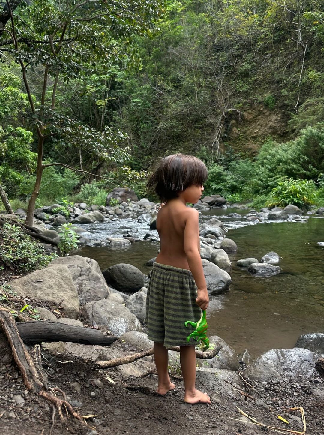 roux terry short | lizard