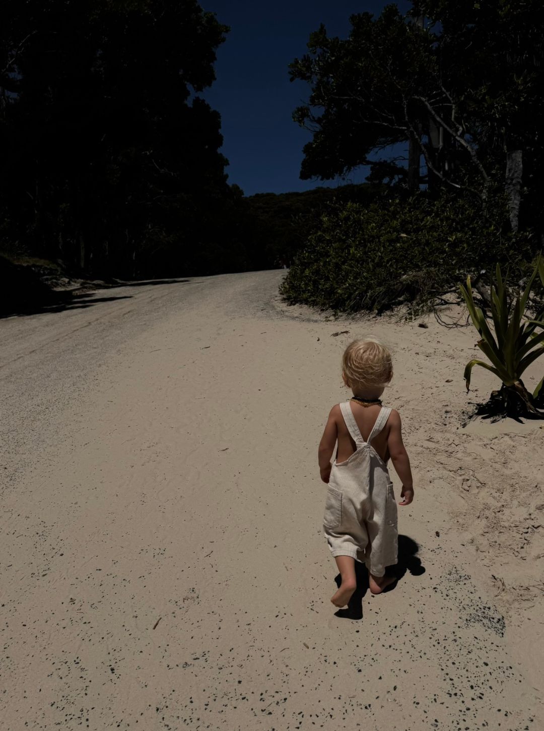 tango overalls | coconut