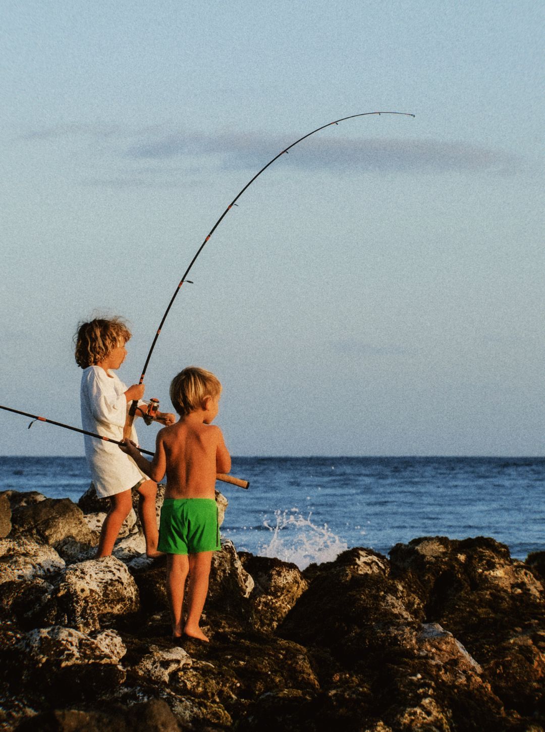 kiki swim trunks | frog