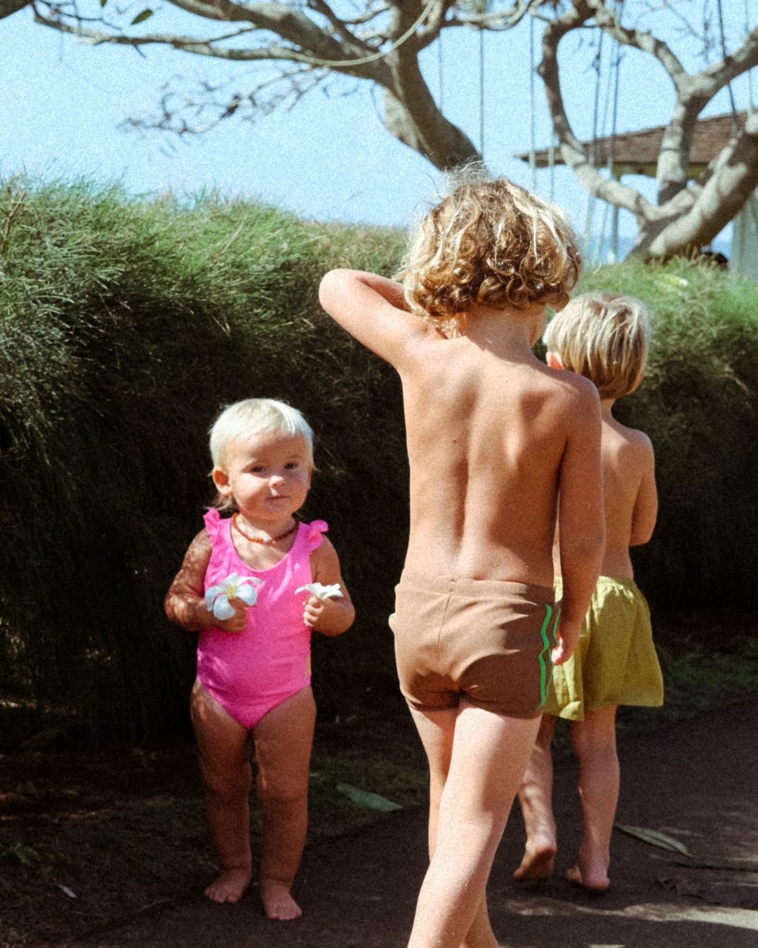 kiki swim trunks | carob