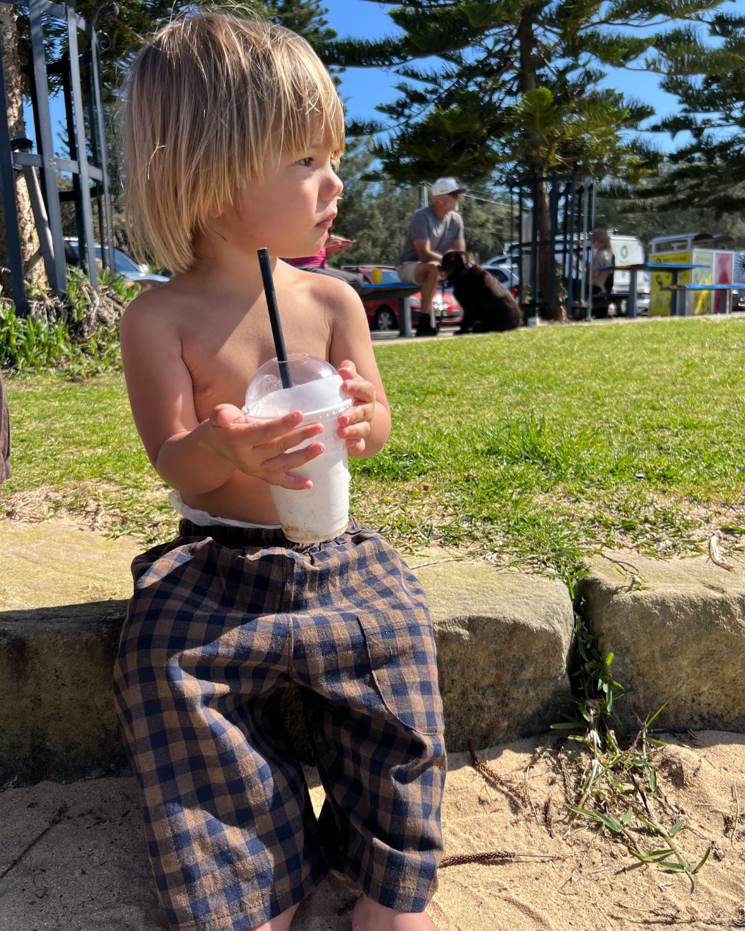 neko gingham short | khaki