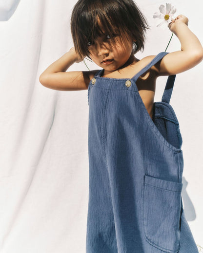 tango overalls | dusk