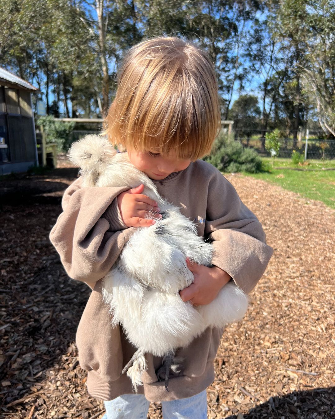 ZIGGY ZAZA rocky pullover bear 2-3y